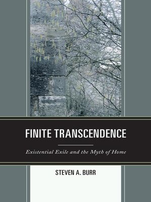 cover image of Finite Transcendence